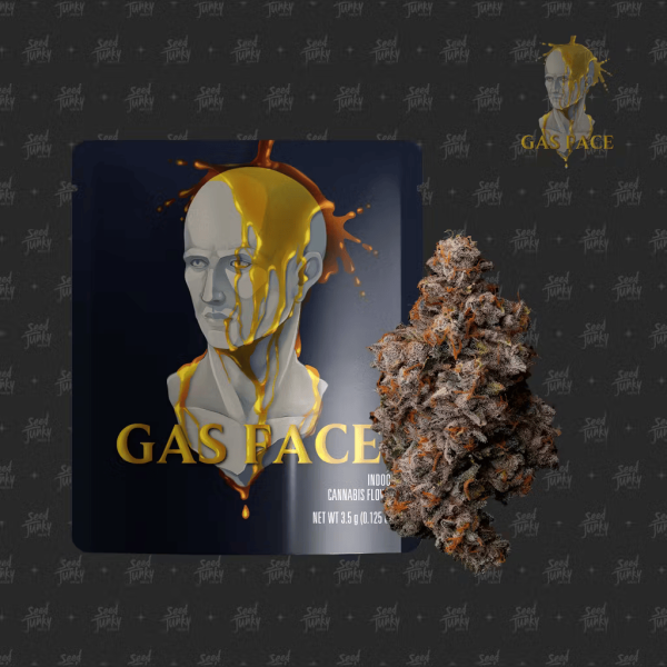 Gas Face by Seed Junky